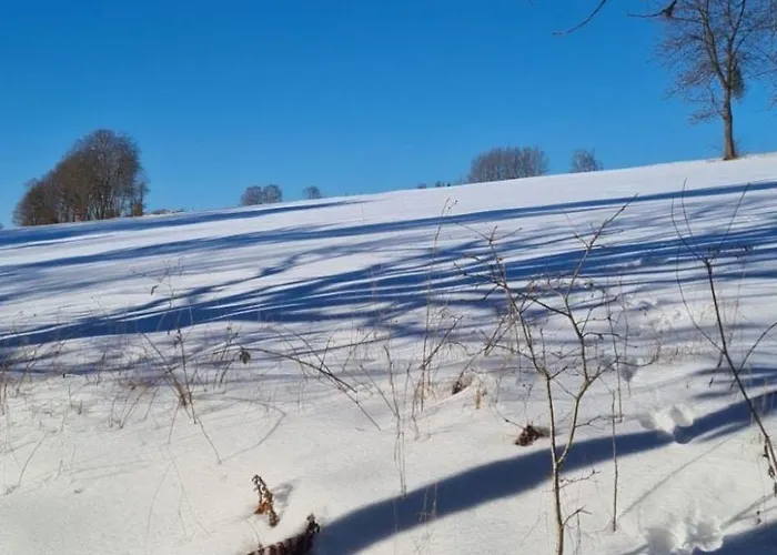 펜션 Fuer Sieben Personen By Interhome Friedrichshausen